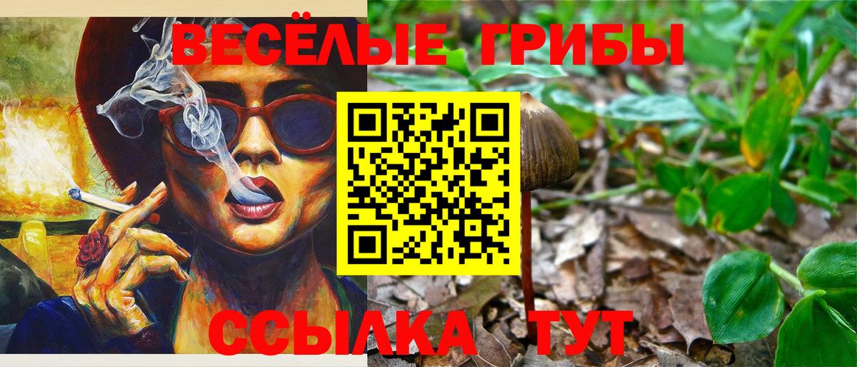 Галлюциногенные грибы прущие грибы Майкоп
