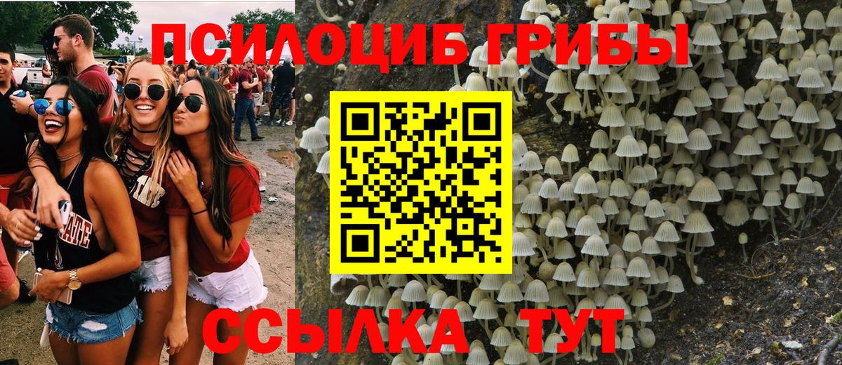 Псилоцибиновые грибы GOLDEN TEACHER  Вход с VPN  продажа наркотиков  Майкоп 